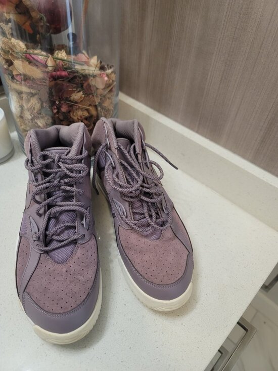 Nike Other - Nike Mens Size 10 Air Trainer SC High Bo Jackson Taupe Purple/ White/Grey Shoes